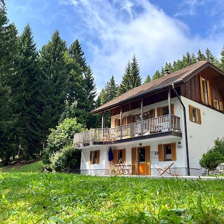 Chalet Harmony Rogla - Apartment Zreče Eksteriør billede