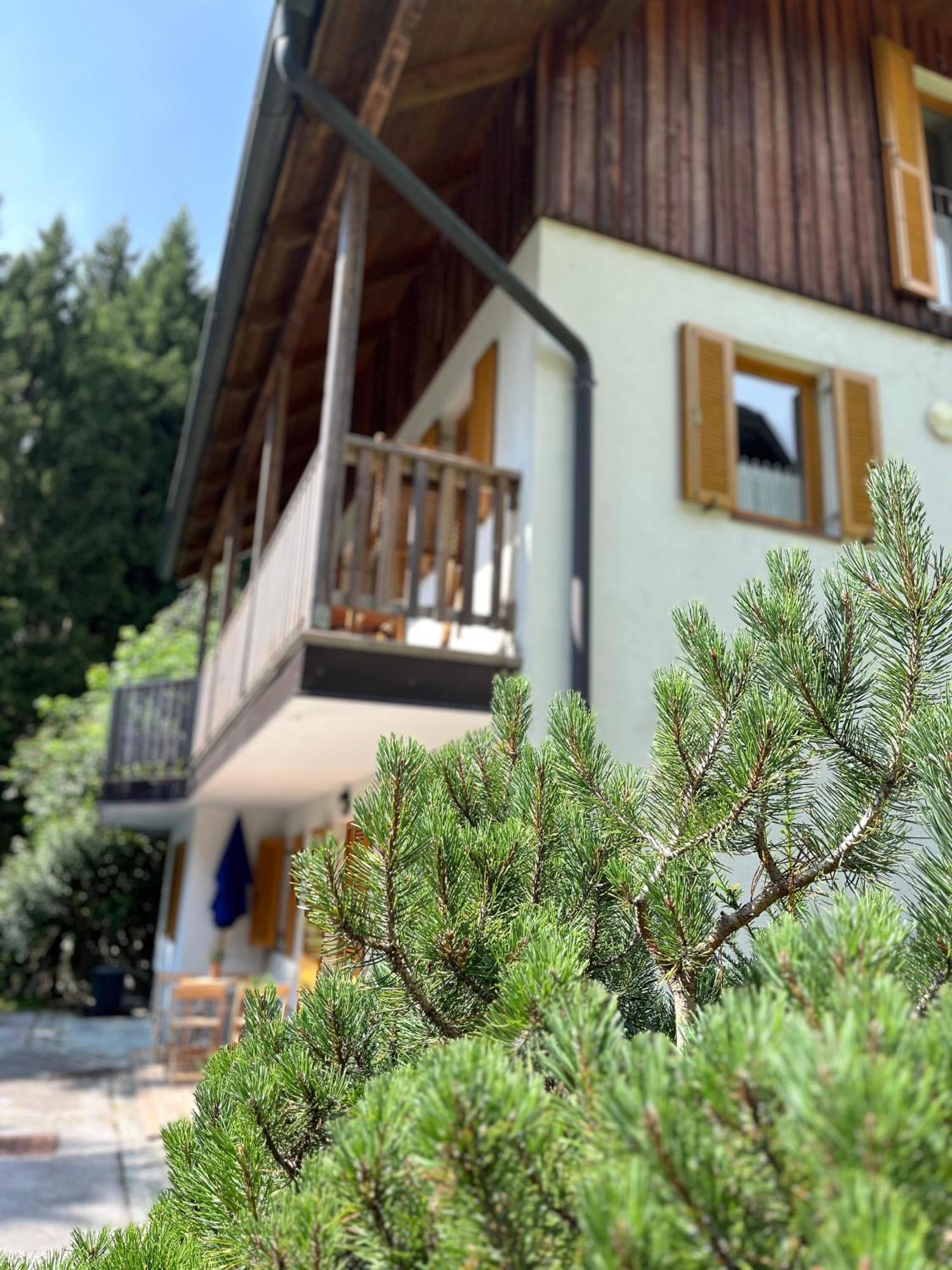 Chalet Harmony Rogla - Apartment Zreče Eksteriør billede