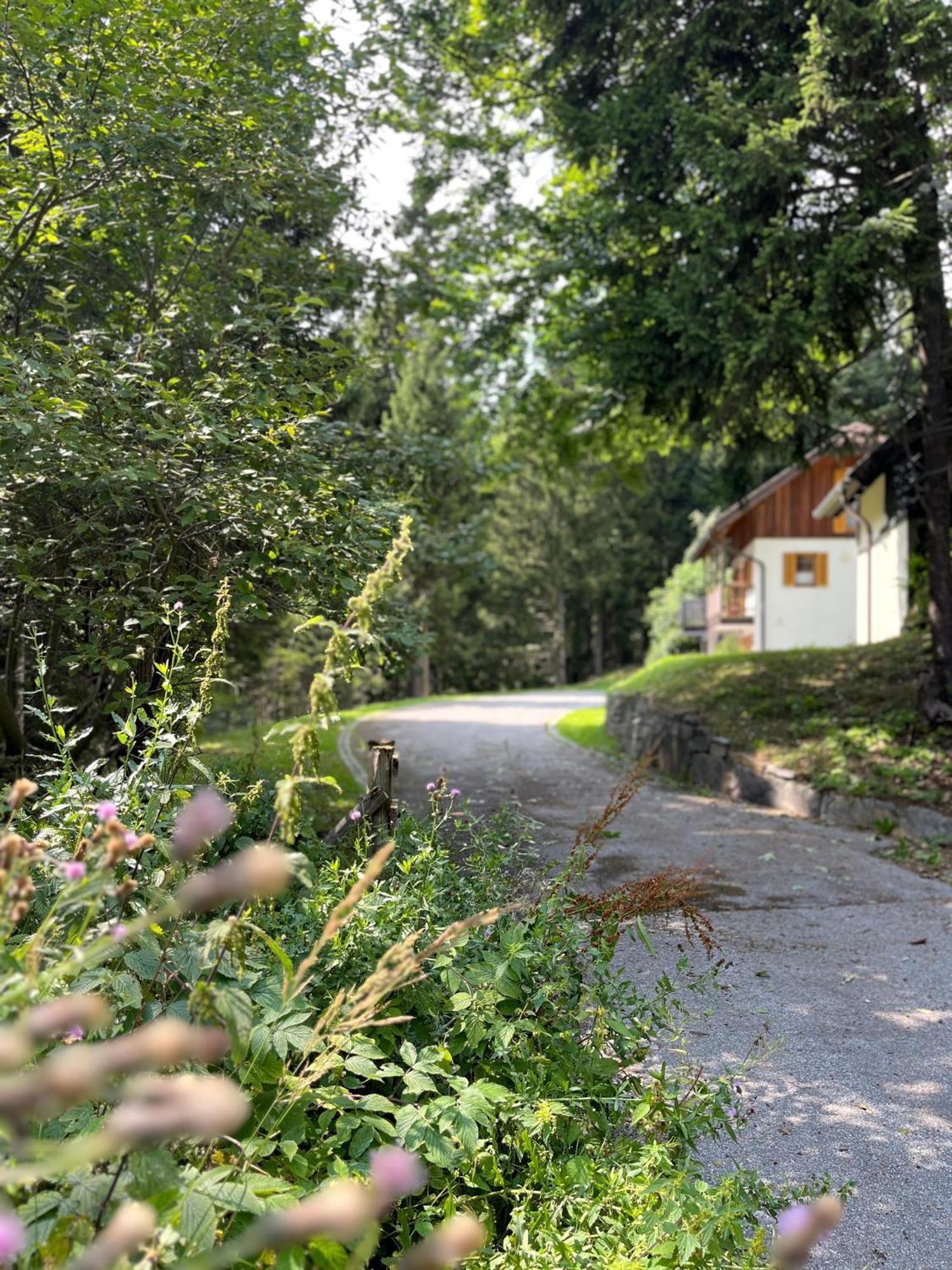 Chalet Harmony Rogla - Apartment Zreče Eksteriør billede